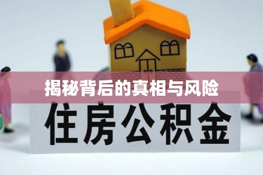 桓台揭秘背后的真相与风险