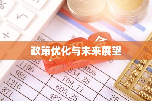 桓台政策优化与未来展望