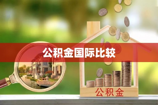 桓台公积金国际比较