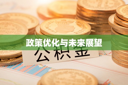 桓台政策优化与未来展望
