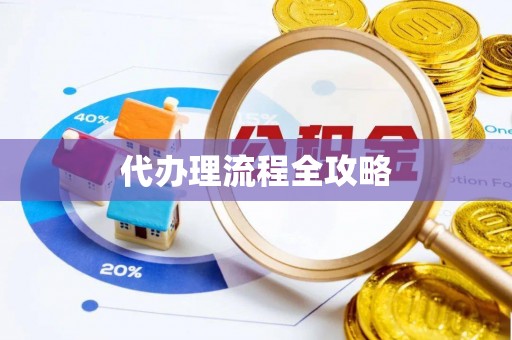 桓台代办理流程全攻略