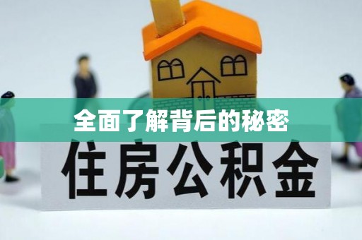 桓台全面了解背后的秘密