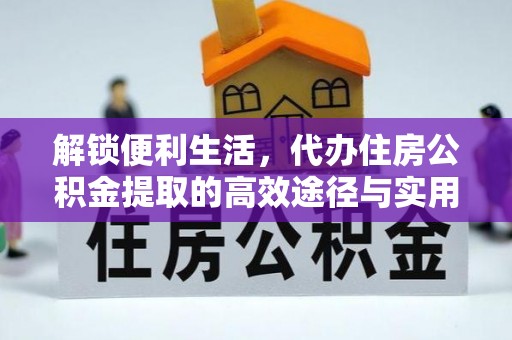桓台解锁便利生活，代办住房公积金提取的高效途径与实用技巧