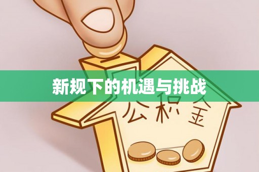 桓台新规下的机遇与挑战