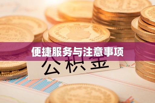 桓台便捷服务与注意事项