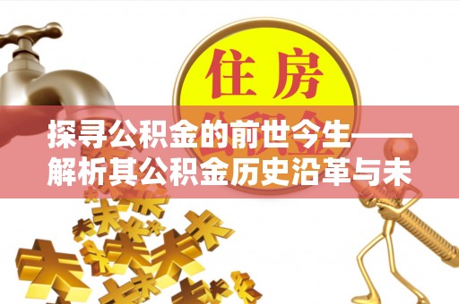 桓台探寻公积金的前世今生——解析其公积金历史沿革与未来方向