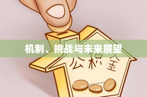 桓台机制、挑战与未来展望