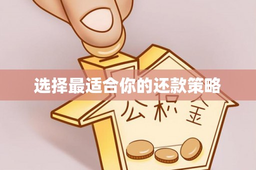 桓台选择最适合你的还款策略